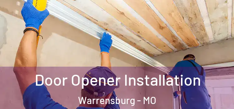  Door Opener Installation Warrensburg - MO