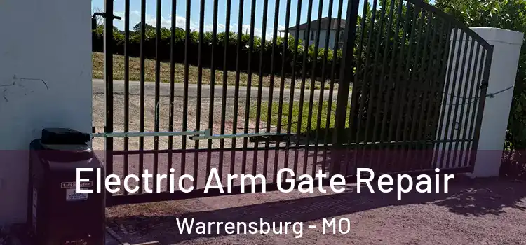 Electric Arm Gate Repair Warrensburg - MO