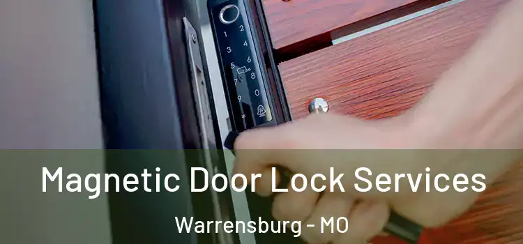  Magnetic Door Lock Services Warrensburg - MO
